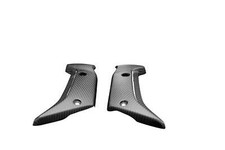 Carbon Kühlerverkleidung für