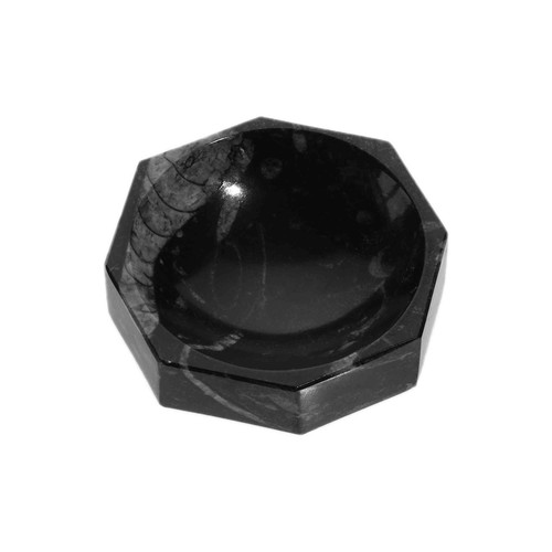 Fossilien schale ø10cm - Ø10cm, –