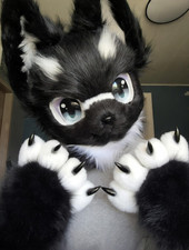 Fursuit/Furry Head + Paws