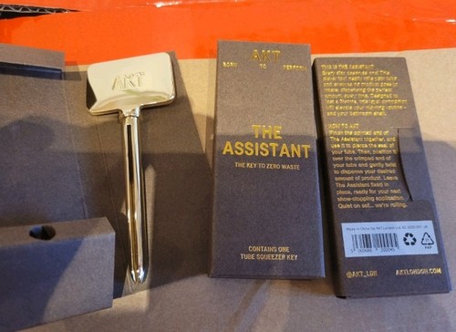 Akt der assistent - akt,,
