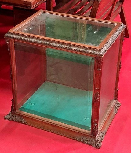 Seltene thekenvitrine - seltene, /