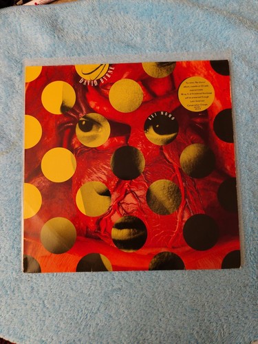 David byrne rei - david, momo