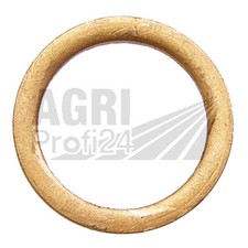 Dichtring Einspritzdüse für