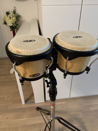 Bongos latin - by, (latin