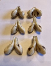 6 Paar Grandeln für Jäger oder Trachtenschmuck