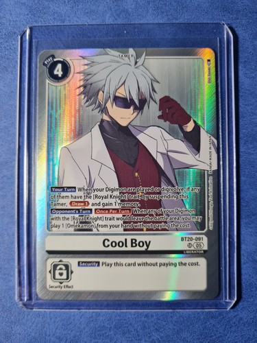 Digimon cool boy - digimon, •