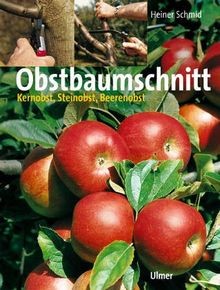 Obstbaumschnitt von heiner - obstbaumschnitt,