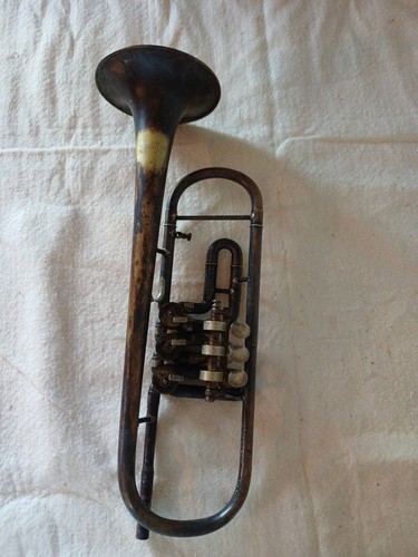 Trompete amati kraslice - trompete, im