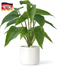 Künstliche Pflanzen