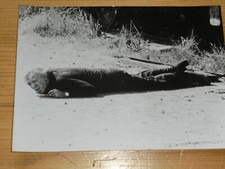 CASSANDRA CROSSING - original Pressefoto ´77 - RICHARD HARRIS Sophia Loren