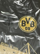 BVB Borussia Dortmund