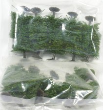 N 20 Nadelbäume Tannen 5 cm