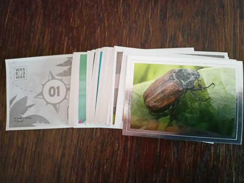 Rewe sammelsticker disney - sammelsticker,