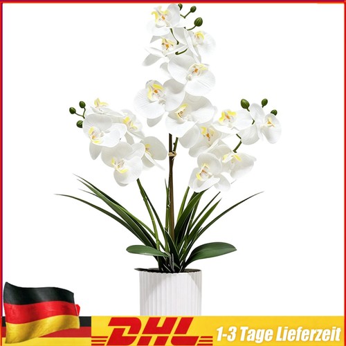 Künstliche orchidee topf - im,