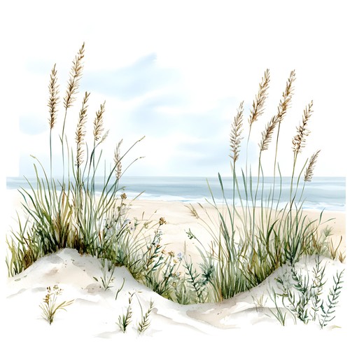 Wandbild dünen gräser strand - dünen,