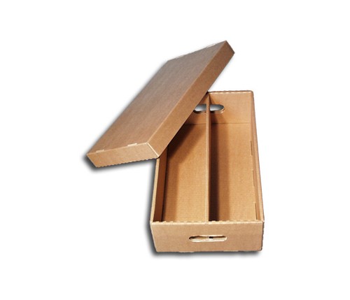 Pappbox protected 3 - cd, (3