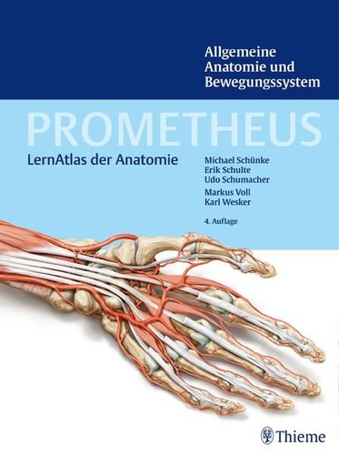 Prometheus allgemeine anatomie - prometheus,