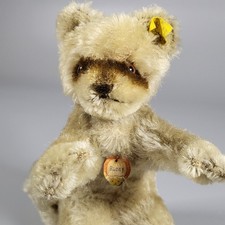 Steiff: 50er * Waschbär Raccy 17 cm * komplett * Mohair *