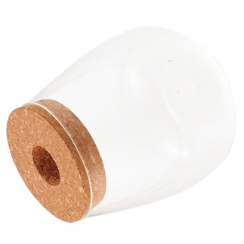 Glasanlage terrarium micro - glasanlage,