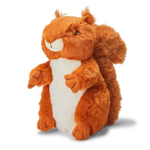 Rotes eichhörnchen - rotes,