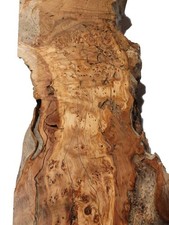 Oliven wurzelholz holz - oliven,