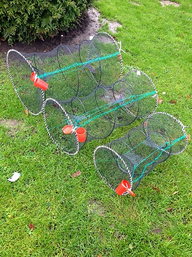 Fischreuse,Aalreuse,Krebsreuse