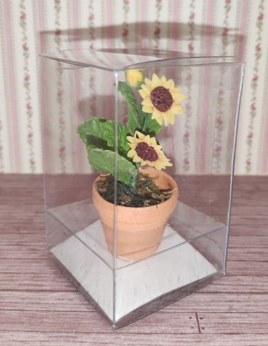 Sonnenblume blumentopf - sonnenblume,