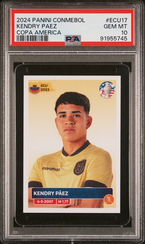 2024 panini conmebol copa - panini,
