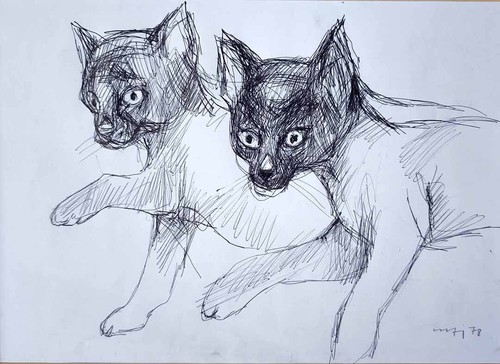 Katzen willi ulfig - katzen,