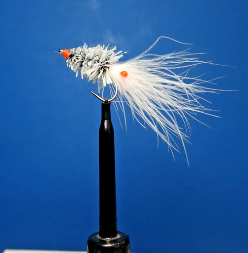 Meerforelle garnele white easy - meerforelle,