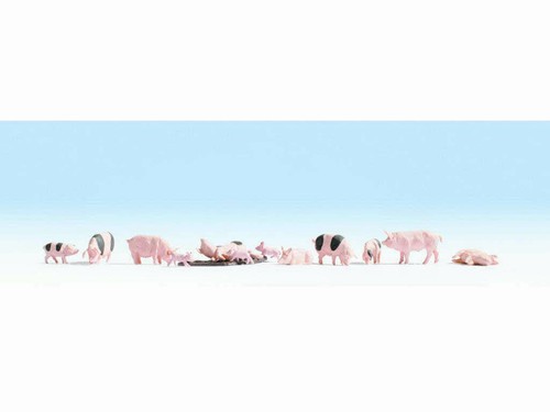 Noch 15712 schweine - noch, für