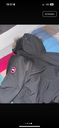 Canada goose - canada,