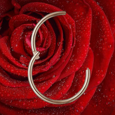 I OHRRING CLICKER 10 mm I Echt