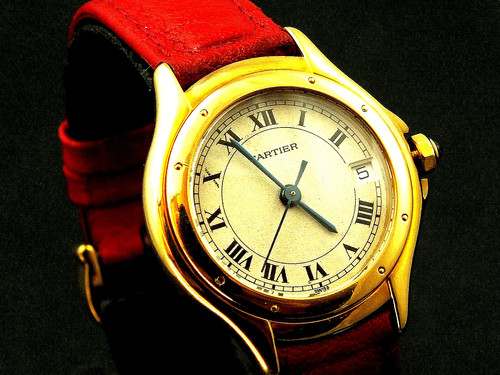 Cartier panthere cougar - cartier,