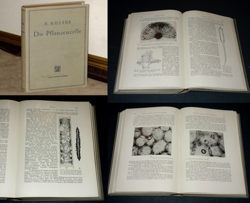 Kräuterbuch von 1935 - krÄuterbuch,