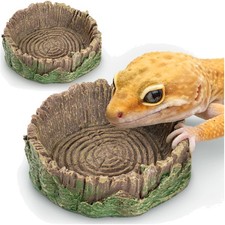 Reptilien Wasserschale mit two