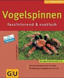 Vogelspinnen faszinierende - vogelspinnen.,