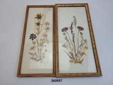 2x Bilder DDR VEB Kleinbild