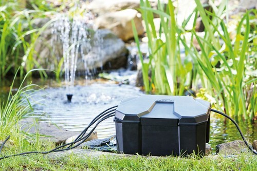 Unique koi garten power - koi, box