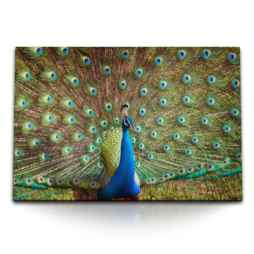 120x80cm wandbild auf - 120x80cm,