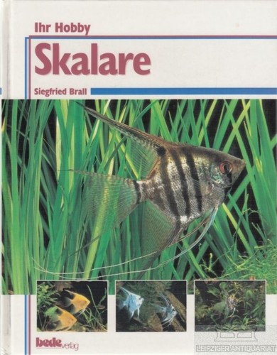 Buch skalare brall - skalare,,
