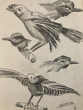 Schöne Zeichnung Vogel 1950