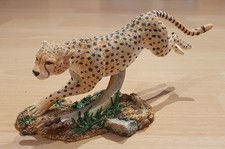 Cheetah Africa Figure Animal