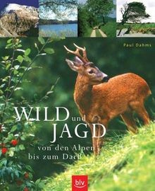 Wild und jagd - vom, bis