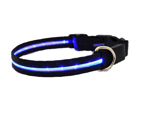 Led farbe blau - blau, hundehalsband