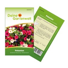 Petunien Einfache Mischung Samen - Petunia hybrida - Petuniensamen - Blumensamen