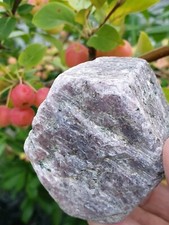 Rubin,  Rubin  Roh Stein#