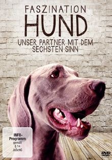 Faszination hund unser - hund,