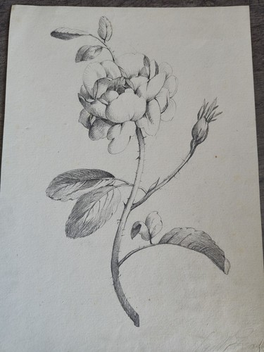 Original bleistiftzeichnung - original,