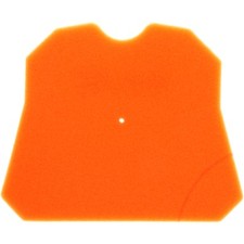 Luftfilter Foam Twin Air